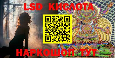 прущие грибы Кулебаки