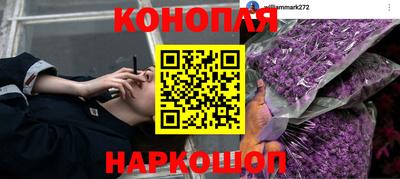 стафф Ливны
