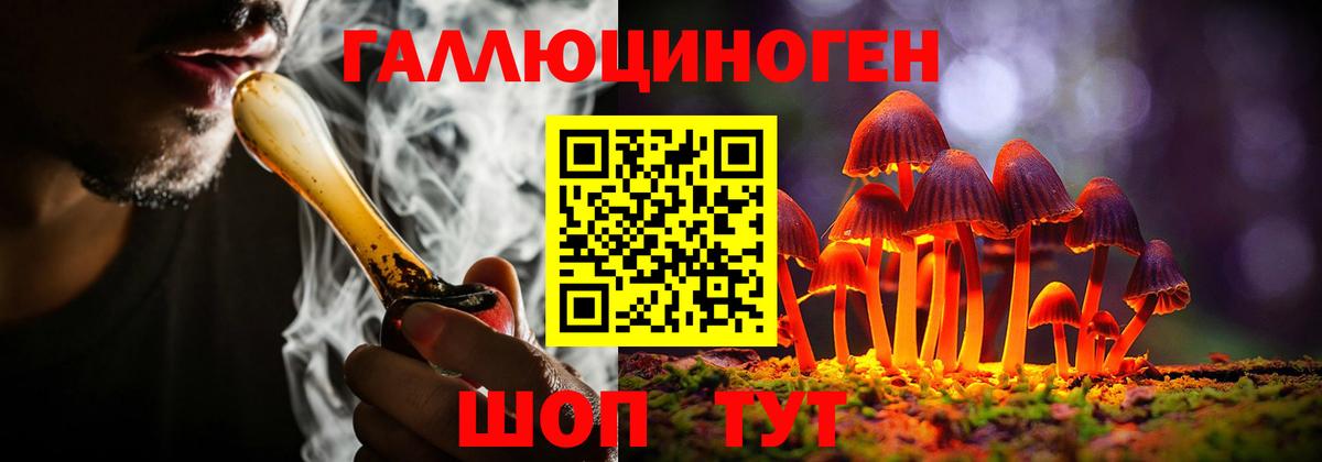 Радужный  Псилоцибиновые грибы Psilocybine cubensis  где найти   Вход с VPN 